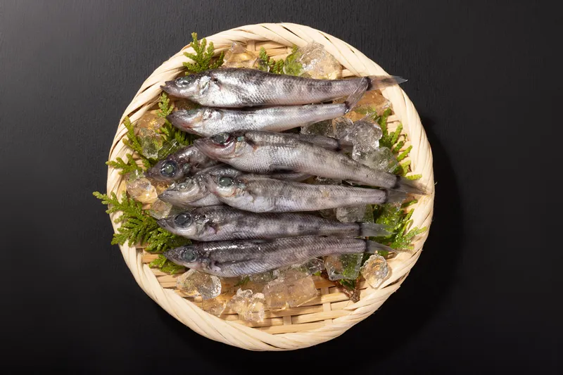 Manufacturing of Processed Seafood Business